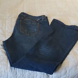 Torrid Source of Wisdom jeans